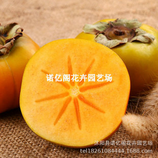 �o�˷�������޽���������������ϱ����NֲͥԺ����ˮ�����Ә���