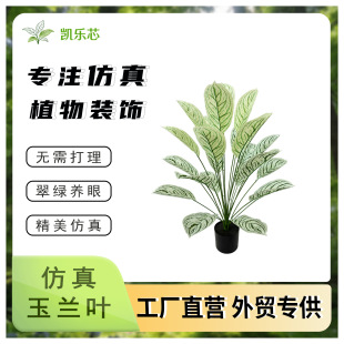 ���W�����ֲ��Gֲ�������m�~�ٻ�С�ҾӔ[���bF؛���m�~�辰