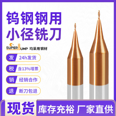 小径铣刀55度微小径平刀整体钨钢硬质合金钢用涂层2刃平底立铣刀
