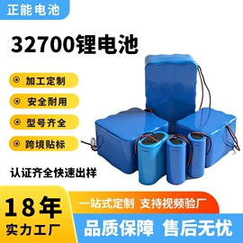 锂电池;蓄电池;其他电池
