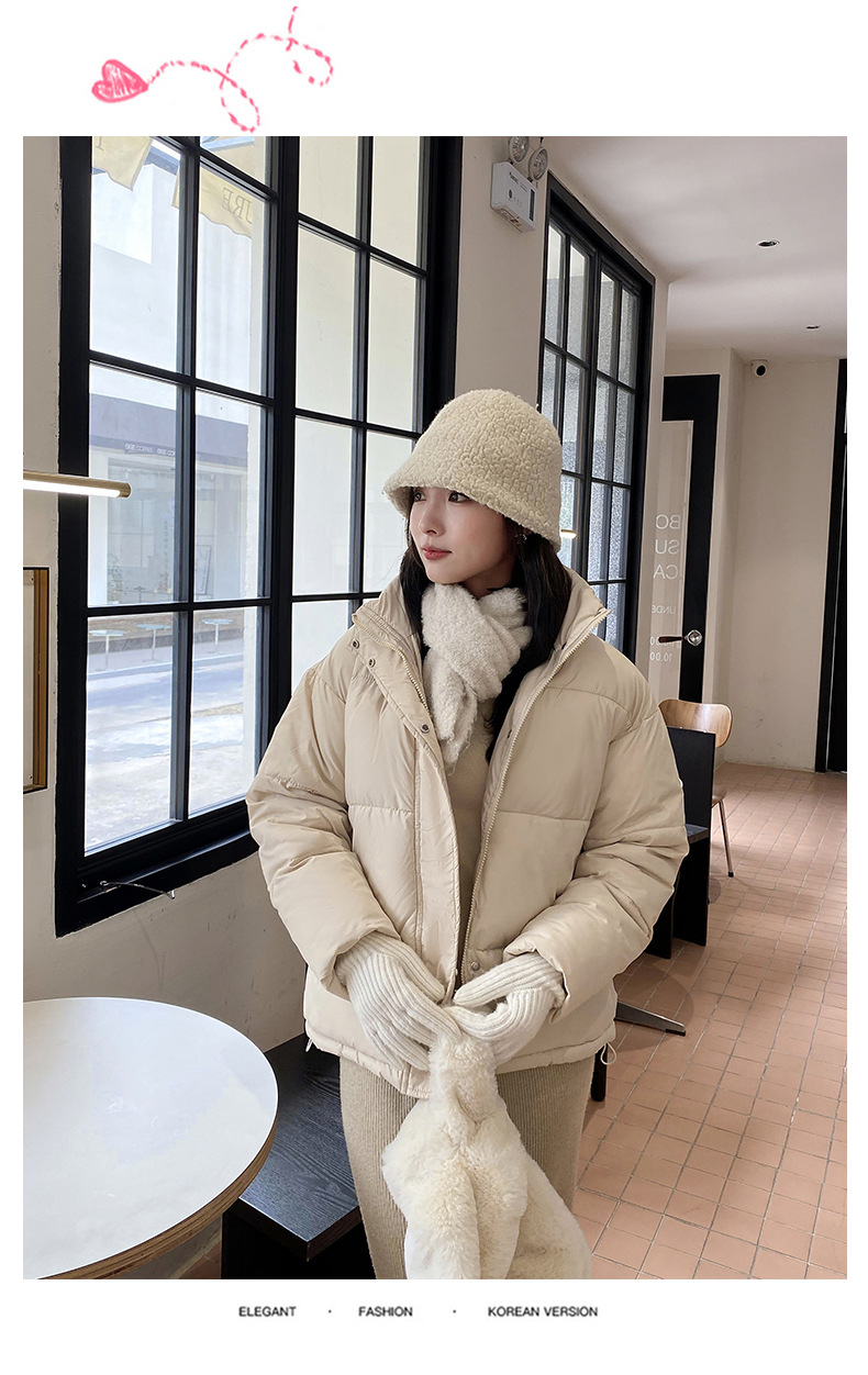 Katoenen jack dames korte 2023 winter nieuwe stijl kleine staande kraag donsjack verdikte katoenen damesjack_voghion.com