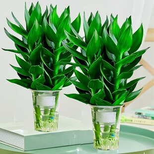 �ļ����Gˮ���^����ˮ�B���F��ˮ���ӿ͏d�k���҃�С�������B�Gֲ