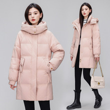 �ߙn��ů��q��Ů���L��2025�����¿��n��r�мӺ�ů�����q����