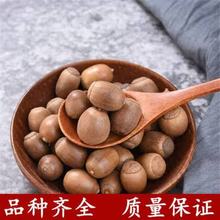 中药材 精选野生橡子 橡籽 橡实 栎树果橡果橡栗 包邮