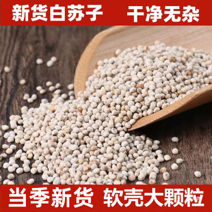 �������K��ܛ�K���Bʳ�B�Z������� �W�^��zȸܽ����؛��؛