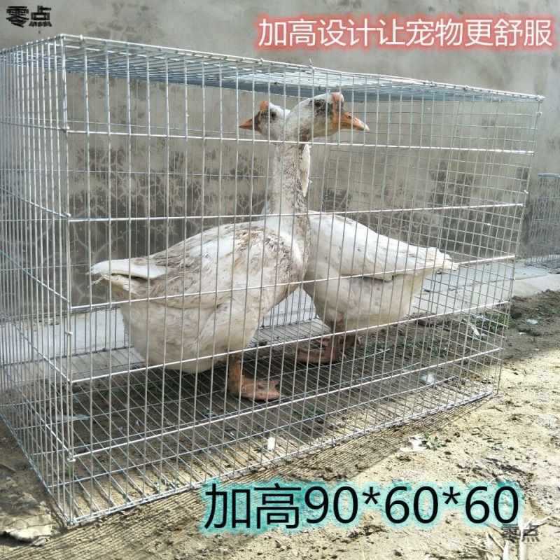 Chicken Cage for Home Use, Outdoor Chicken Coop, Rural Chicken Cage, Small Chicken Cage, Automatic Waste Cleaning, Outdoor Dwarf Rabbit, Quail