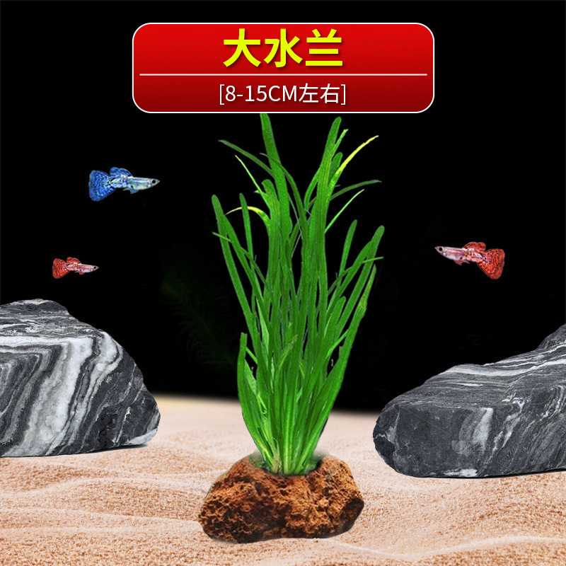 火山石水植物鱼缸净化水质懒人造景摆件全套底砂套餐性真|undefined