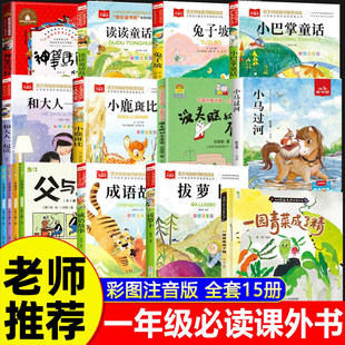 һ�꼉��x�n������x�ώ����]����ȫ��15��С����ͯԒע��������