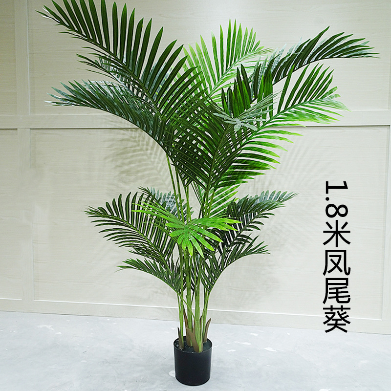 ハイエンドシミュレーション散尾葵鳳尾葵室内着地大型緑植盆栽装飾置物着地室内仮植|undefined