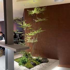 仿真绿植造景南天竹仿生植物景观组合商业餐饮橱窗落地装饰摆件