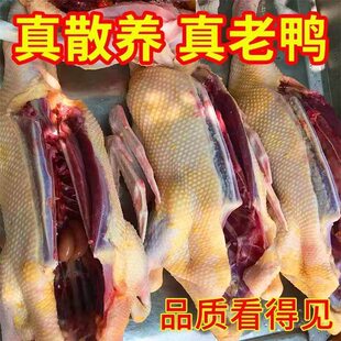���F���ٰl���r��ɢ�B�������������������_�����^צ��ȫ��