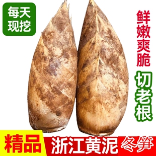 �㽭���S���r�������r��S�����R�����ë�S���Ұ������ȥ�ϸ�