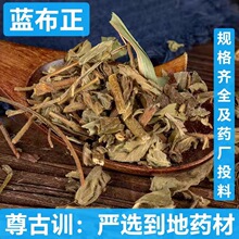 蓝布正 新货 蓝布正  中药材 蓝不正 红心草 水杨梅 路边黄