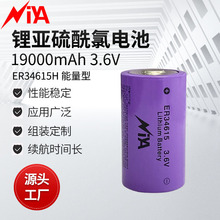 廠家直供 NiYA ER34615容量型柱式電池 3.6V鋰電池