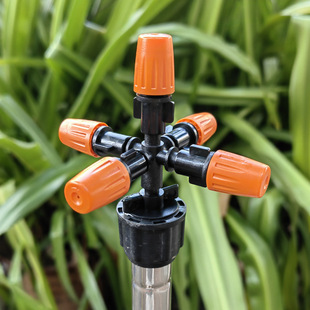 ʮ�����F�����^�ه��@ˇ�������ˮ���F���ص�����m΢���^