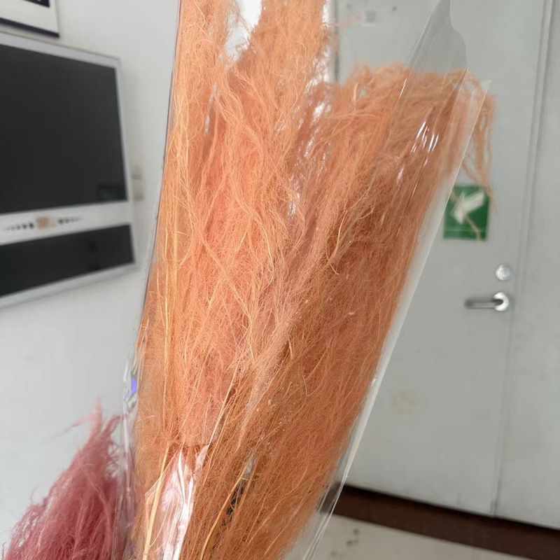 香槟约100克/把