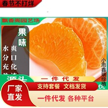 ���S�۽ۘ����ϱ���ͥԺ���Լ޽ӽ��Ә��������ļ������箔��Y��