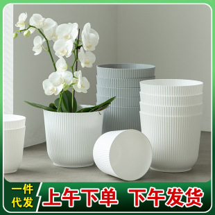 ���W�Lins�Ӻ���������Q�y�A������m��Ƥ�m����ˮ����մɻ���