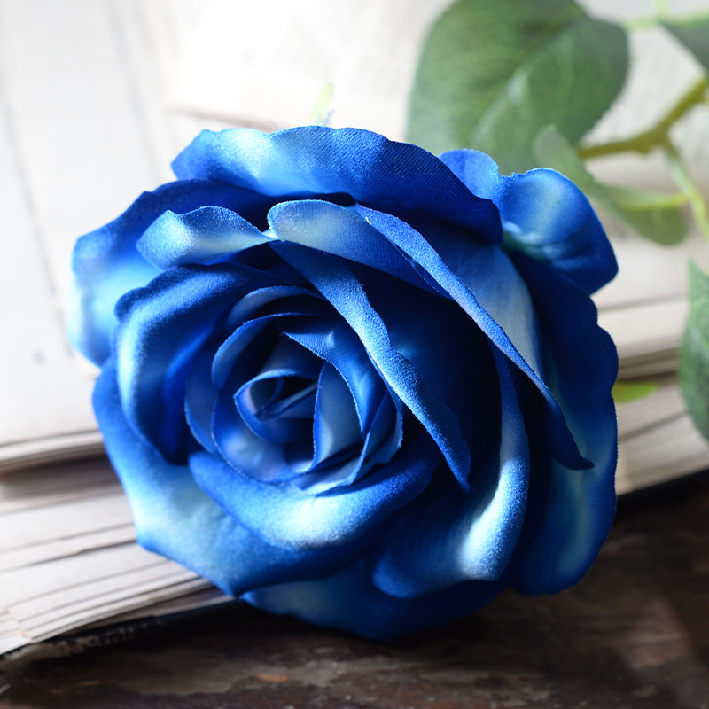 Large velvet rose blue