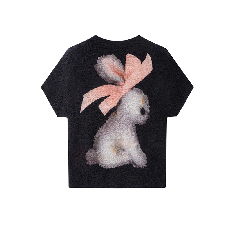 Miyake-Style Pleated Beautiful Clothing, Regular Shoulder Short-Sleeve T-Shirt for Women, Summer Slim-Fit Top, Unique and Beautiful Blouse