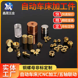 自动车床加工不锈钢黄铜螺丝走心机加工铁铝合金打孔螺母五金零件
