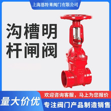 上海恩特莱沟槽明杆闸阀Z81X-16Q