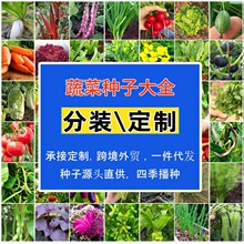 跨境透明小包装糖果包种子草花蔬菜水果花卉=儿童礼品赠送学生玩