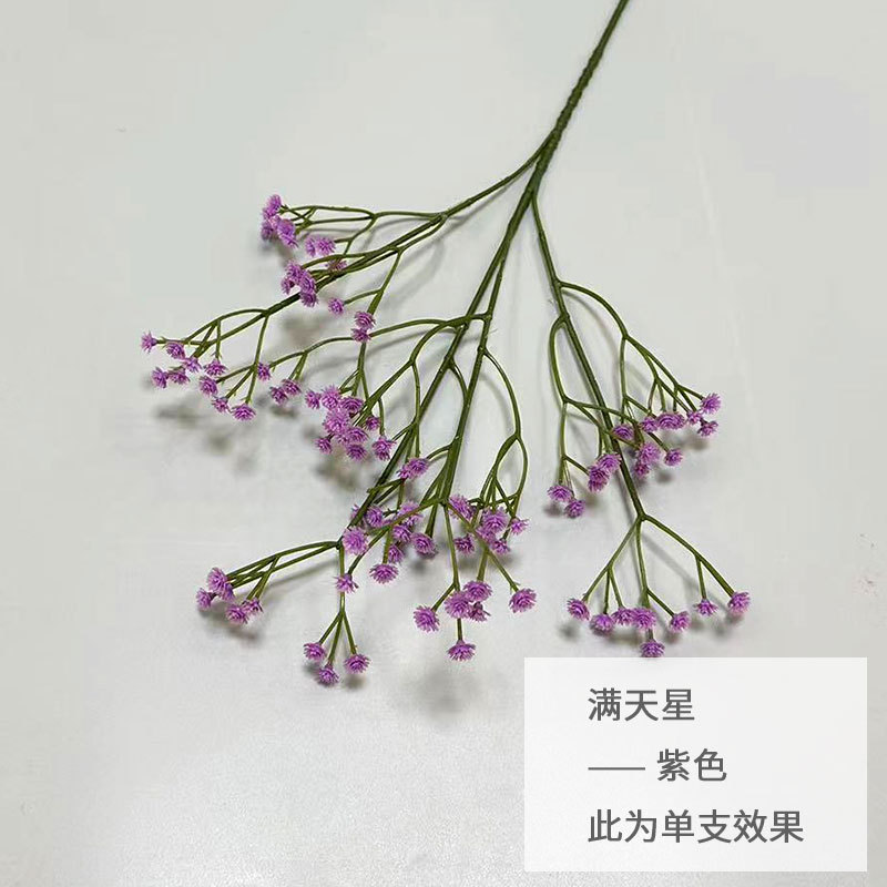 보라색