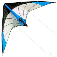 NEW Arrive 48 Inch Blue Professional Dual Line Stunt Kite跨