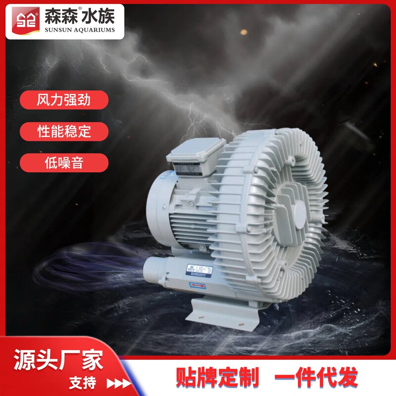 Hg-C2 Air Pump Vortex Pump Vacuum Pump Oxygen Machine High Pressure Vortex Fan Three-Phase Industrial Pump for Engraving Hg-C2 Air Pump Vortex Pump Vacuum Pump Oxygen Machine High Pressure Vortex Fan Three-Phase Industrial Pump for Engraving
