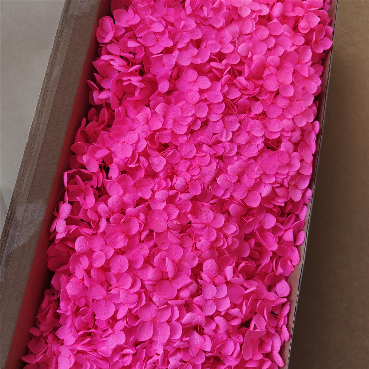 Flor eterna Hortensia Anna pequeña hoja flor seca flor real árbol de Navidad ventilador hecho a mano ramo DIY material paquete flor