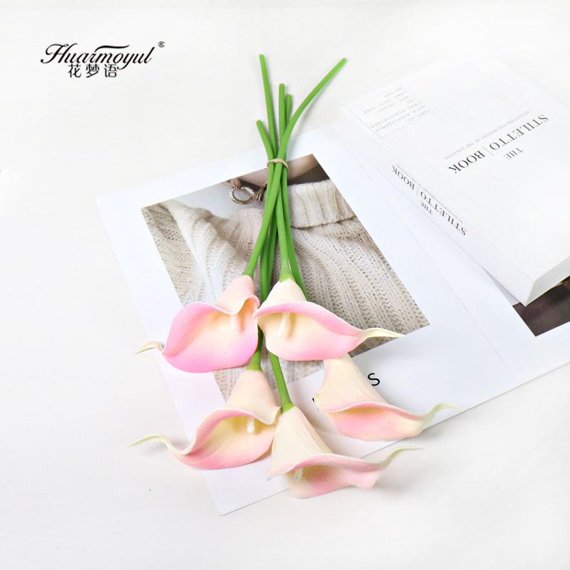 칼라 릴리-바비 핑크(화이트 코어)