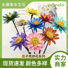 ���ӿ�ƴ��ɢװ�����Ǹɻ�������DIY���� �羳��Դ���������ǻ���