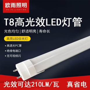 180 210�߹�Ч LED�����չ��S��ֱ�NT8���_�Б�܇�칝�ܸ���