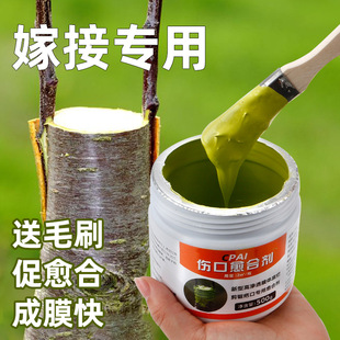 Tree wound healing agent trunk coating agent bonsai bark coating agent fruit tree grafting incision repair coating agent