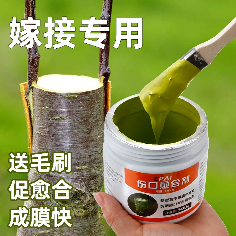 Древесное средство для заживления ран на деревьях.