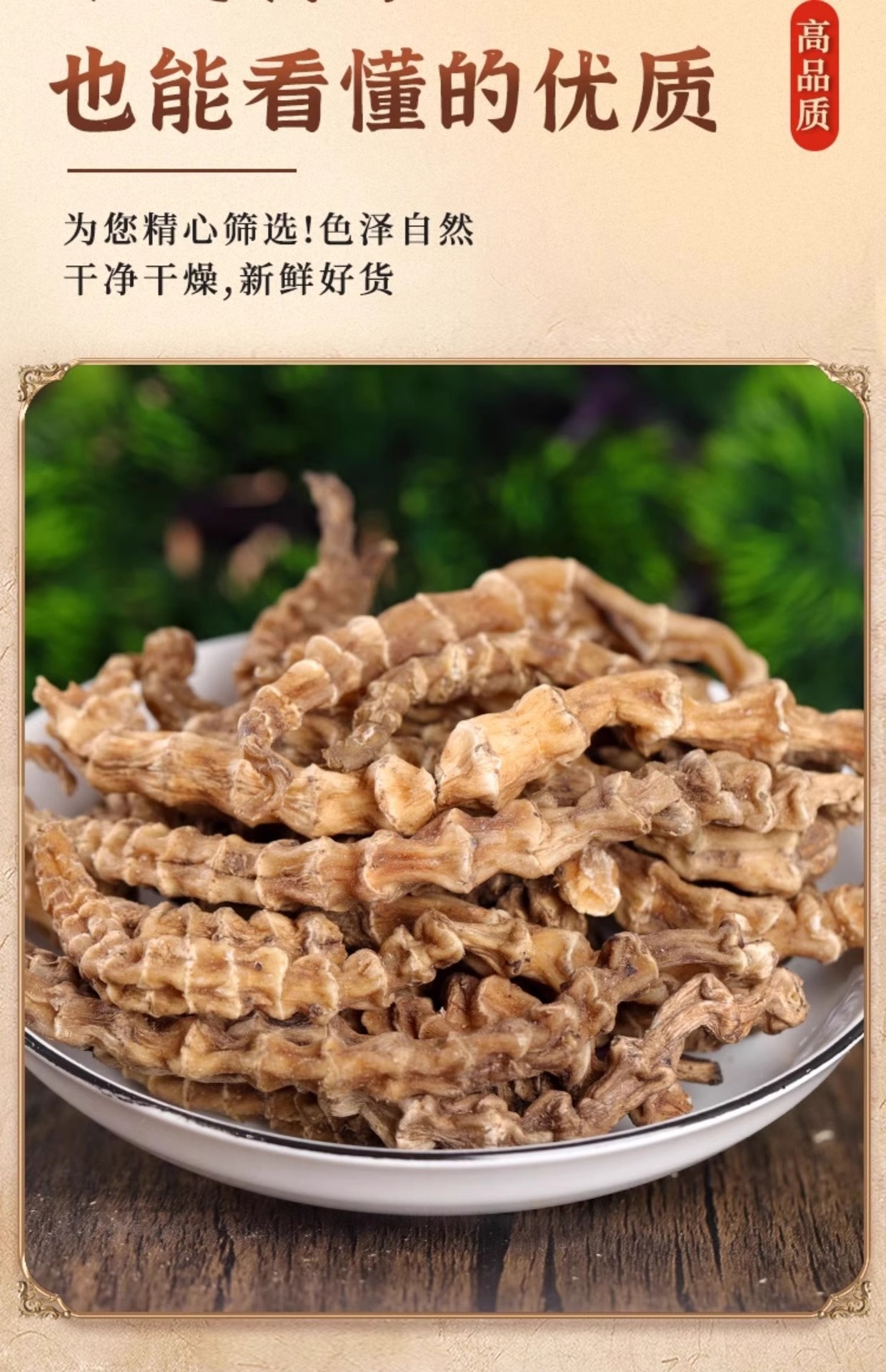 Ding Tian Zhu Dried Herbal Tea 100g Jar Sun Dried Chinese Botanical for Daily Infusion in use