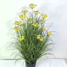 �����JȔ�ݹ�β�Ͳ����[�ݾ²˻����ԼҾә����쾰�bGֲ����