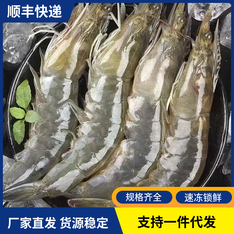 新鲜冷冻大虾盐冻虾海虾鲜活速冻基围虾烧烤食材商用海鲜水产批发