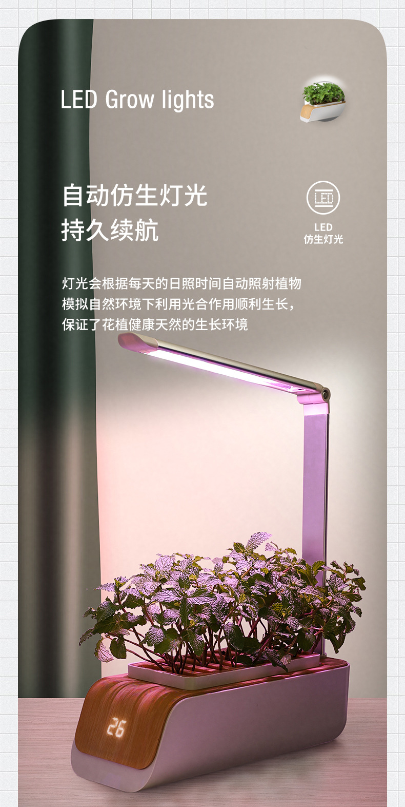 详情1_06.jpg