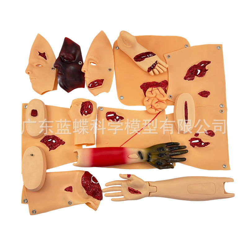 16�����˻�������ģ�鴩��ʽ����ģ�����ȫ���ܴ��˻�����ѧģ��