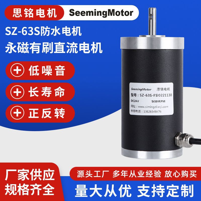 大量批发 SZ-63S防水电机 水泵高转速直流电机永磁有刷直流电机