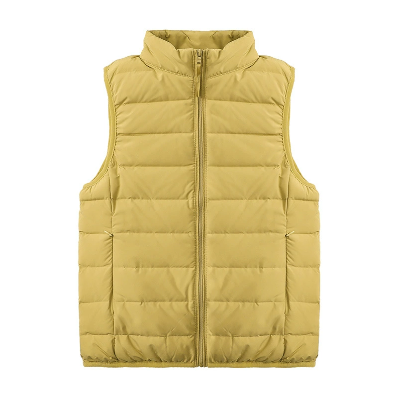Зимний пух теплый тонкий вертикальный воротник тонкий жилет новый наружный жилет белый утка пуховик женский жилет