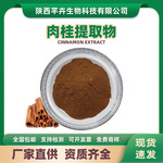 肉桂提取物 水溶肉桂粉 桂皮粉 桂皮提取物 量大价优厂家现货包邮