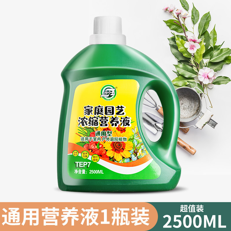 유니버셜 타입 2500ml*1병 [1병은 5병 상당]