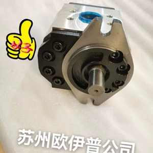 Шестеренчатый гидравлический масляный насос QCIST LX55V75RA/70 QCIST GELICAL GEAR PUMP
