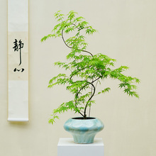 �S����Ȫ��������ʽ�U���辰������~�͏d����҃ȾG���l