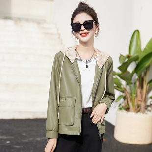 �ﶬ����Ƥ��Ůʿ����2025���¿���Bñ�̿����e��a�d��Ƥ�A��