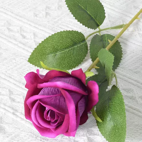 Rose purple (flannel version)