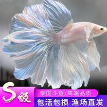 ��������̩���ȴ���Ů���������ɴ���׳�������ͻ�������ȴ���